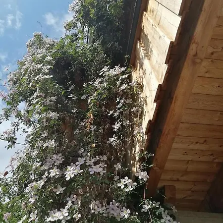 Seppi Appartement