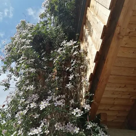 Seppi Διαμέρισμα