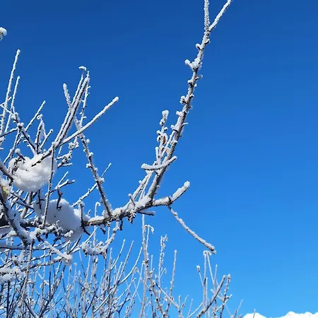 Seppi Apartman *